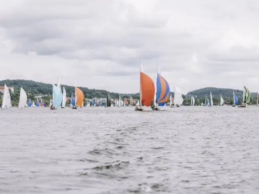 Viele Melges 24 Boote segeln auf dem Wasser, einige mit bunten Segeln, vor einer bewaldeten Küste.