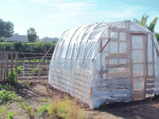 Un invernadero casero con palets protege cultivos. Su estructura de madera y plástico transparente crea un microclima ideal.
