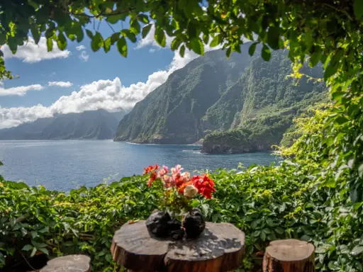 Ein idyllischer Ausblick auf Madeira: üppige Vegetation, das blaue Meer und steile, grüne Berge. Was muss man auf Madeira gesehen haben? Diese Aussicht ist ein Muss!