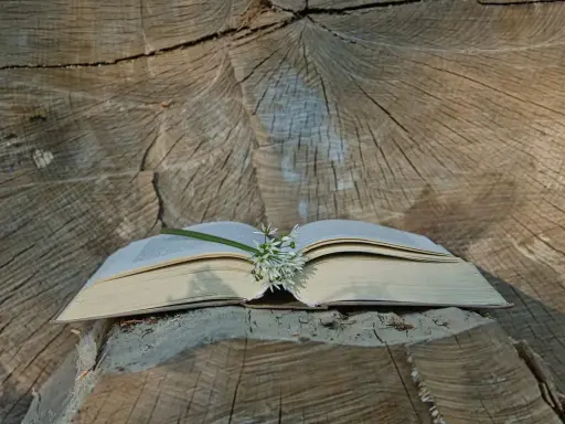 Otwarta księga z delikatnym kwiatem na tle słojów drewna. Właśnie tu odnajduję tekst Psalmu 42.