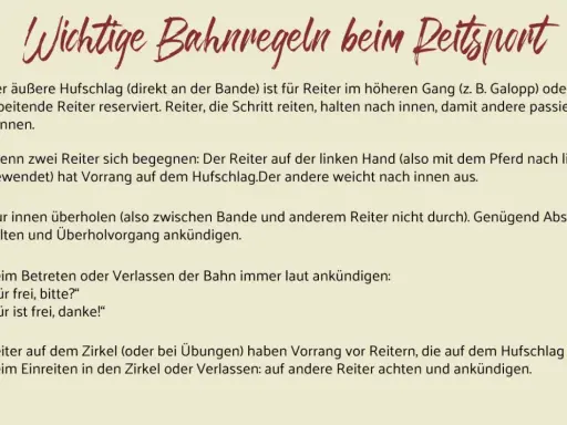 Wichtige Bahnregeln beim Reitsport: Reiter auf der linken Hand haben Vorrang. Beim Überholen auf der rechten Hand Abstand halten.
