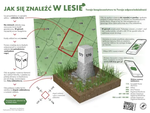 Jak się znaleźć w lesie? Słupki oddziałowe z numerami pomogą Cię zlokalizować, gdy będziesz chciał zanocuj w lesie.