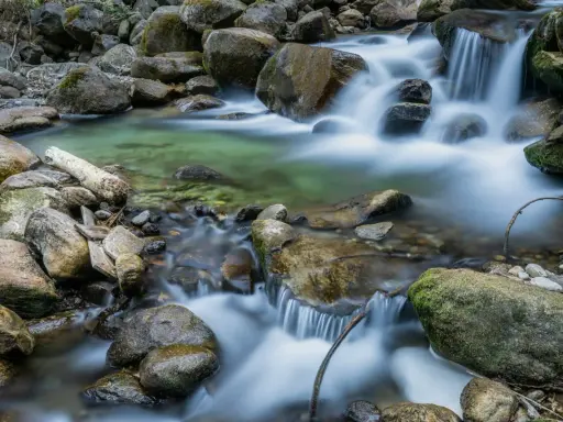 Acqua cristallina scorre tra rocce muschiose, creando un effetto seta su un ruscello di montagna.
