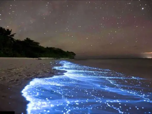 Nocne Malediwy: plaża rozświetlona bioluminescencyjnym morzem gwiazd, a nad nią rozgwieżdżone niebo.