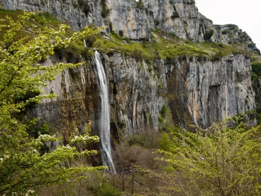 Impresionante cascada en el nacimiento del río Asón, cayendo por un acantilado rocoso cubierto de vegetación verde y flores blancas.