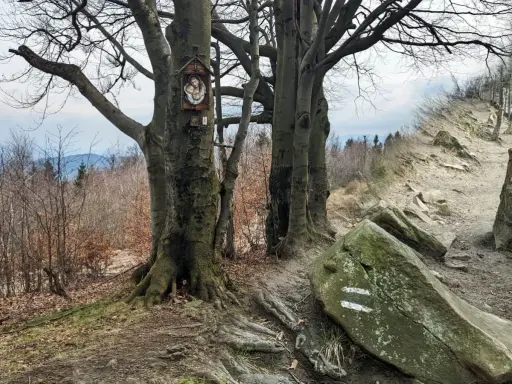 Kapliczka na drzewie przy kamienistej trasie na Leskowiec. Szlak prowadzi przez las, z widokiem na góry.