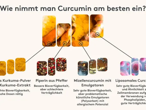 Kurkuma wie einnehmen: Pulver, Pfeffer, Mizellen oder liposomales Curcumin. Die Grafik zeigt verschiedene Formen und deren Bioverfügbarkeit.