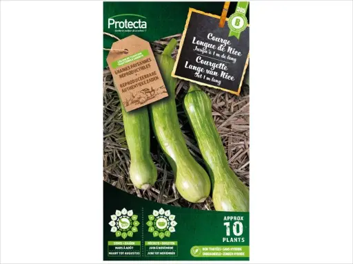 Trois courgettes longues de Nice, vertes et rayées, sur un lit de paille. Sachet de graines Protecta.