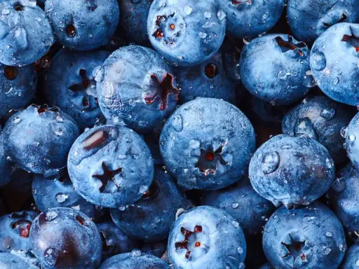 Frische Heidelbeeren mit Wassertropfen, bereit für süße Leckereien.