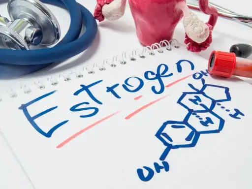 Stetoskop, model narządów rodnych i probówka krwi obok notatnika z napisem "Estrogen" i jego wzorem chemicznym.
