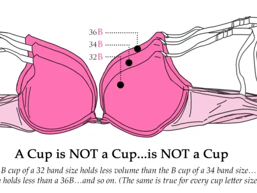 Illustrazione di reggiseni rosa sovrapposti che mostra come la taglia reggiseno 34 a cosa corrisponde in termini di volume della coppa rispetto ad altre taglie.