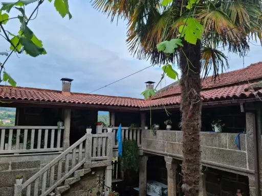 Un patio de piedra con escaleras y barandillas, un palmera y tejados rojos. Un lugar perfecto para una casa parranda.