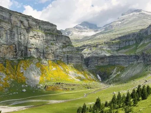 Majestuoso valle de Ordesa con cascada, acantilados cubiertos de flores amarillas y pinos. La cola de caballo de Ordesa cae en la distancia.
