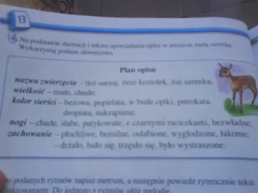 Opis zwierzęcia klasa 3: mała, chuda sarenka o beżowej sierści, płochliwa i wystraszona.