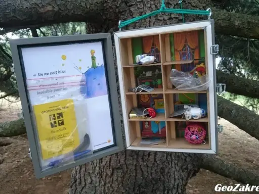 Skrzynka geocachingowa na drzewie z cytatem z "Małego Księcia" i drobnymi skarbami. To właśnie geocaching co to za zabawa!