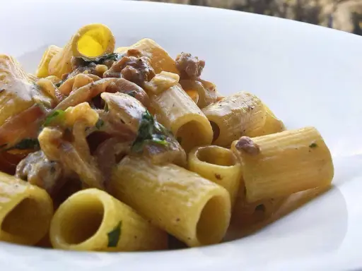 Rigatoni cremosi con salsiccia sbriciolata e erbe aromatiche, un piatto invitante.