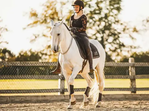Eine Reiterin in Reithose und Helm reitet ein weißes Pferd im **Halsring reiten**.