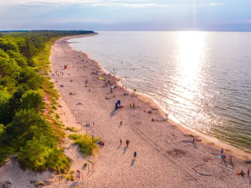 Piękna plaża z lasem sosnowym, idealne miejsce, gdzie pojechać na wakacje w Polsce. Słońce odbija się w wodzie, a ludzie odpoczywają na piasku.