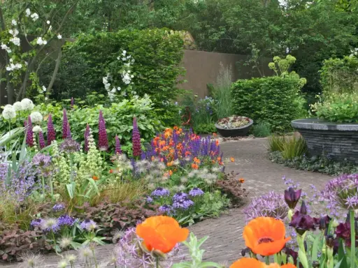 En vacker rabatt med lupiner, vallmo och andra blommor. Perfekt inspiration för att planera rabatt.