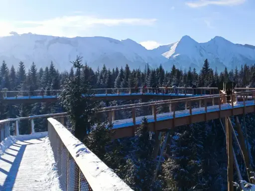 Ścieżka w koronach drzew zimą, widok na ośnieżone Tatry. Jak dojechać z Zakopanego?