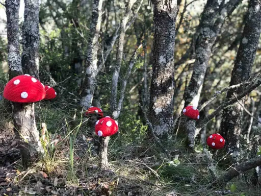 Hongos rojos tejidos adornan la ruta de los duendes en el bosque.