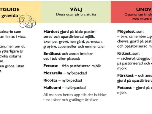 Ostguide för gravida: Välj ostar som mozzarella, ricotta, halloumi. Undvik mögelost och färskost gjord på opastöriserad mjölk. Burrata gravid? Välj pastöriserad.