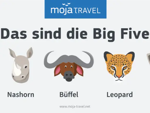 Die Big Five Afrikas: Löwe, Nashorn, Büffel, Leopard und Elefant als Illustrationen.