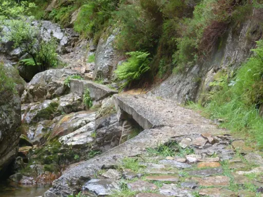 Un puente de hormigón deteriorado cruza un arroyo rocoso en la ruta del alba, rodeado de vegetación exuberante y rocas cubiertas de musgo.