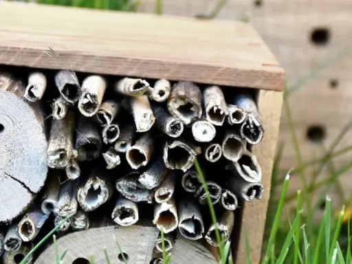 Ett insektshotell av trä fyllt med bamburör och träbitar med hål. Perfekt för att hjälpa pollinerare.