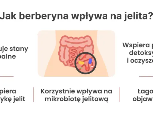 Berberyna na jelita: redukuje stany zapalne, wspiera motorykę, mikrobiotę, detoksykację i łagodzi objawy IBS.