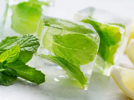 Eiswürfel mit Minze und Zitrone, perfekt zum **Minze einfrieren** für erfrischende Getränke.