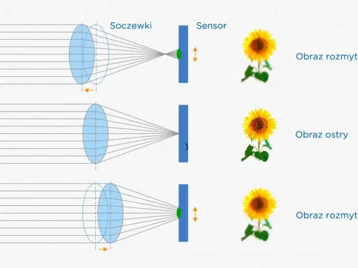 Schemat pokazuje, jak soczewki i sensor współpracują, by uzyskać ostry obraz. Autofocus dostosowuje pozycję soczewek, by obraz słonecznika był wyraźny.