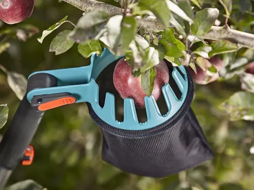 Un sécateur à fruits attrape une pomme rouge, facilitant la tâche de recueillir les fruits des branches hautes.