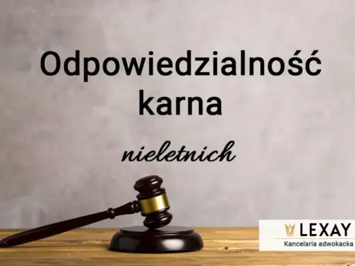 Prawnik może być karany? Rodzaje odpowiedzialności i konsekwencje