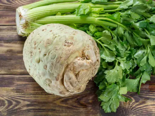 Un céleri-rave rustique et ses tiges vertes sur fond de bois. La culture du céleri rave est une tradition culinaire.