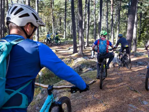 Grupp cyklar på en skogsstig i Falun. Solen lyser genom träden och skapar skuggor på marken.