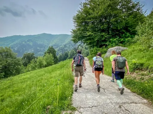 Un gruppo di amici fa trekking vicino Milano, immersi nel verde lussureggiante delle colline.
