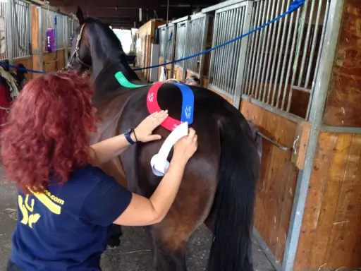 Eine Frau mit roten Haaren klebt einem braunen Pferd bunte Tapes auf den Rücken. Das pferd tapen ist eine Methode zur Unterstützung.