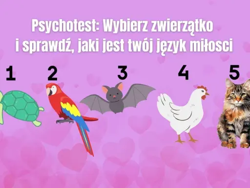 Psychotest: wybierz zwierzątko i sprawdź, jaki jest twój język miłości. Żółw, papuga, nietoperz, kura i kot czekają na Ciebie!