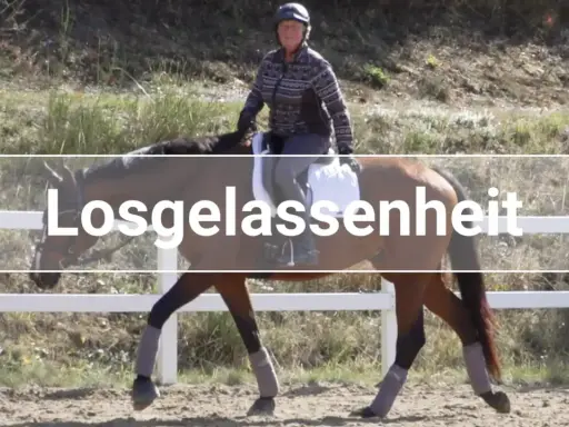 Reiterin mit linker Hand am Zügel eines braunen Pferdes, das entspannt trabt.