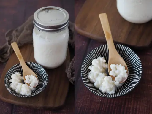 Kefir-Körner auf einem Löffel, bereit, Kefir selber zu machen. Daneben ein Glas mit fertigem Kefir.