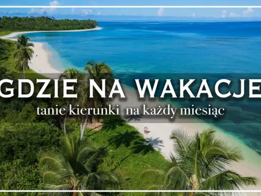 Rajska plaża z palmami i turkusową wodą. Idealne miejsce, by zastanowić się, gdzie na wakacje.