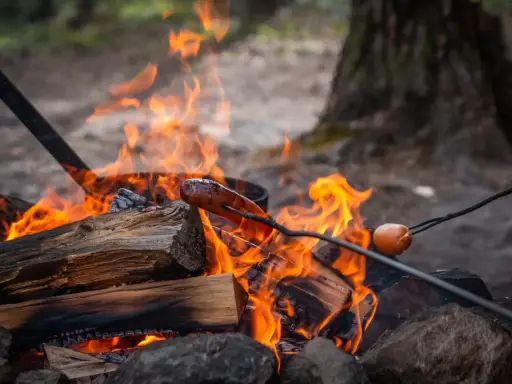 En korv grillas över en sprakande eld. En härlig eld brasa som värmer och ger mat.