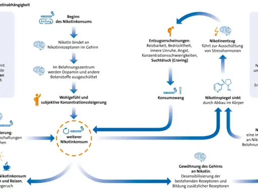 Diagramm erklärt Nikotinabhängigkeit. Nach Rauchstopp können Entzugserscheinungen wie Suchtdruck auftreten.