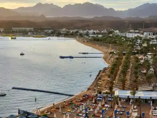 Piękna plaża z palmami i górami w tle. Czy to Hurghada czy Sharm El Sheikh?