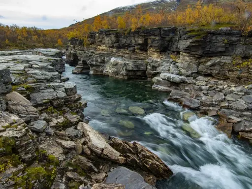 Vatten forsar genom Abisko kanjon, kantad av dramatiska klippformationer och höstens gyllene lövverk.