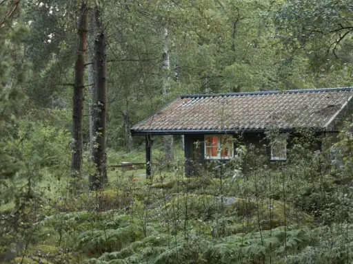 En mysig stuga i en grinda stugby, omgiven av frodig skog och ormbunkar. Ljuset från fönstret lyser varmt.