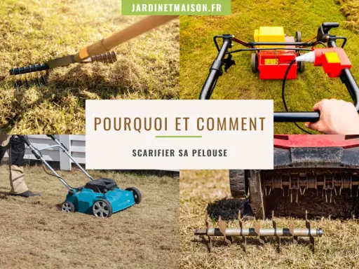 Le scarificateur, un outil essentiel pour savoir quand scarifier pelouse. Il aère le sol et retire la mousse pour une pelouse saine.