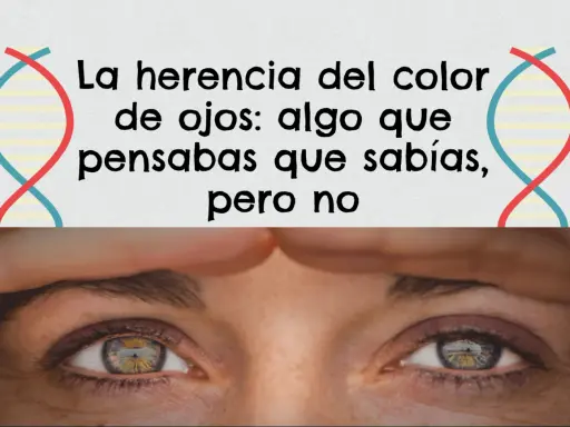 La herencia del color de ojos: la probabilidad de que tus ojos sean de un color u otro es más compleja de lo que crees.