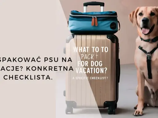 Uśmiechnięty piesek obok walizki i torby podróżnej. Czas na wakacje z psem! Sprawdź, co spakować.